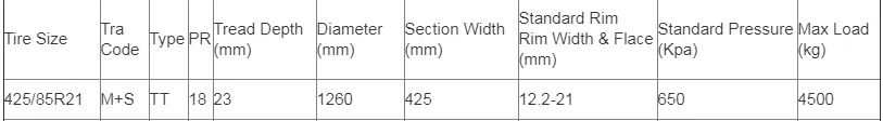 425.85R21 DATAS.jpg